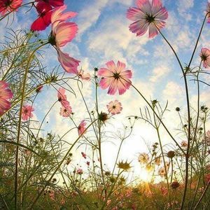 Meet your Posher, Teresa